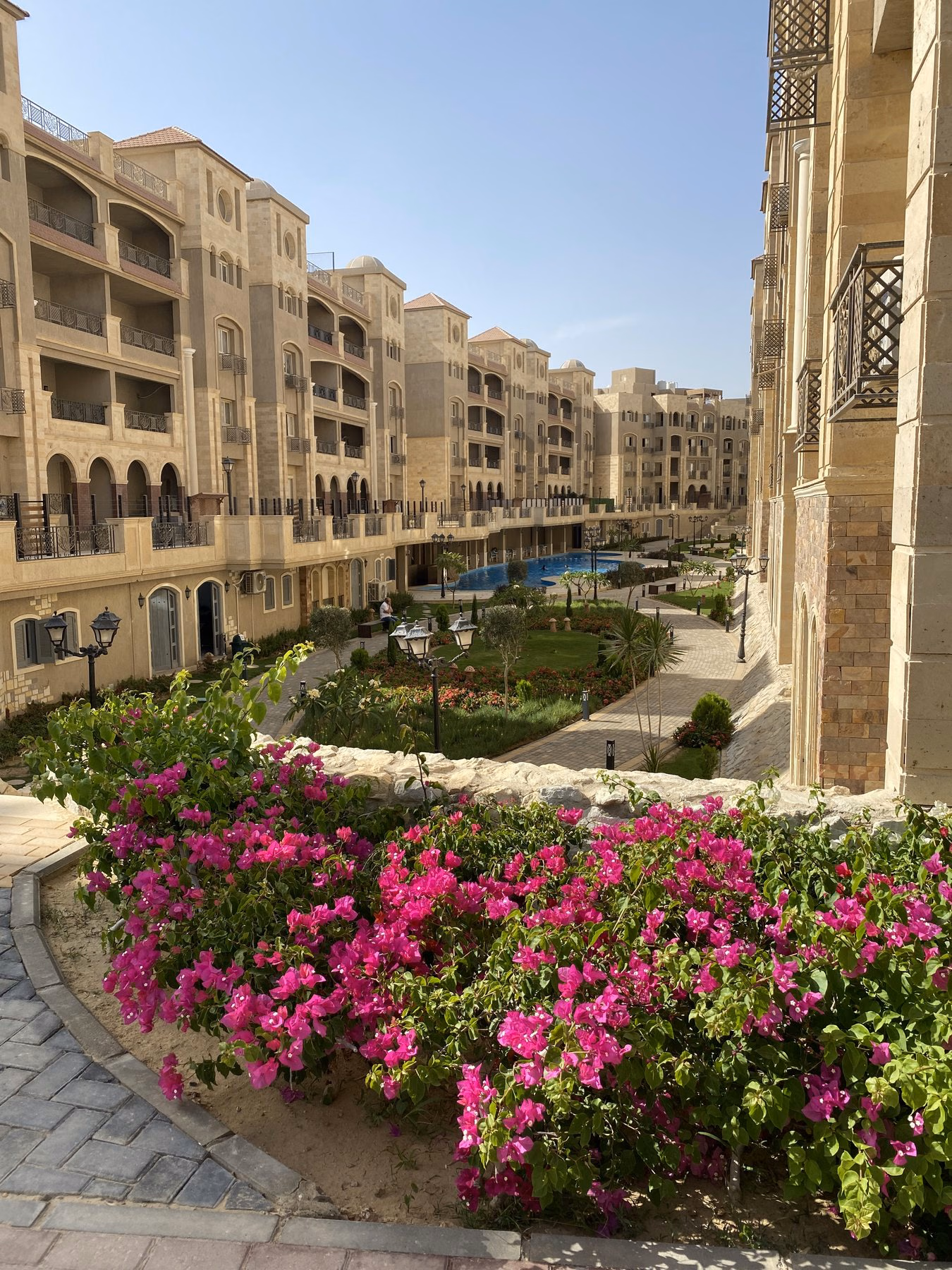 Flowering plants and landscaped courtyard at Rock Vera Compound